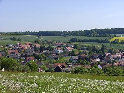 Waldfenster