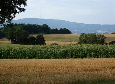 Bligg of di OanzEäche, hinnedroo dar Kräüzberch