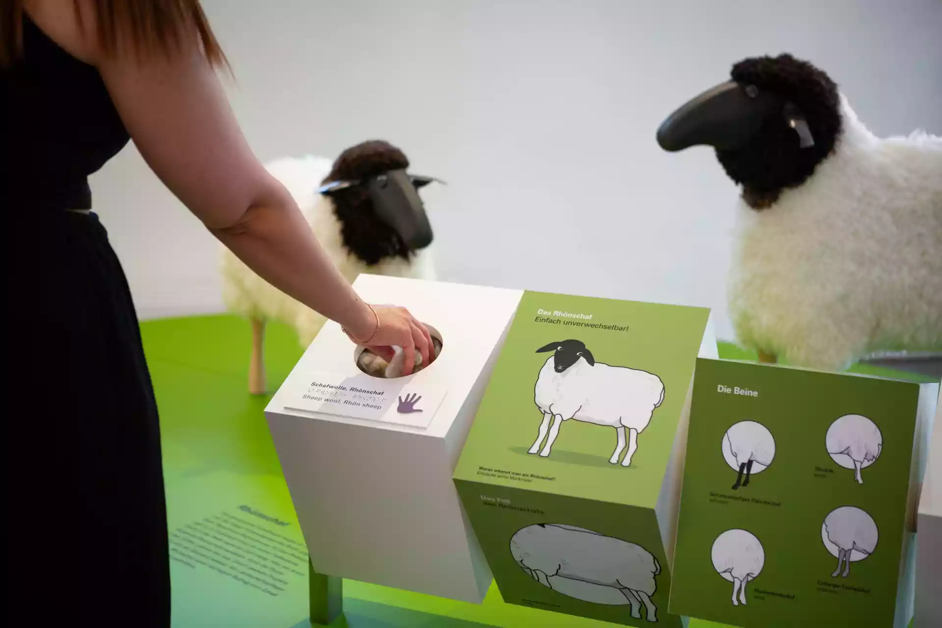 Rhönmuseum Fladungen - Führung