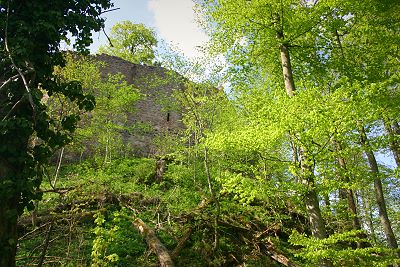 Die Auersburg bei Hilders