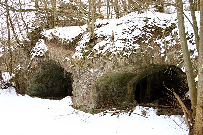 Burg Burgwallbach