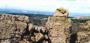 Blick von der Dreifeldskuppe