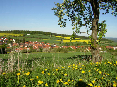 Waldfenster