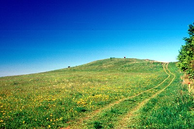 Der Ellenbogen (814m)