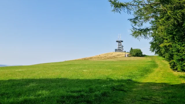 Ellenbogen