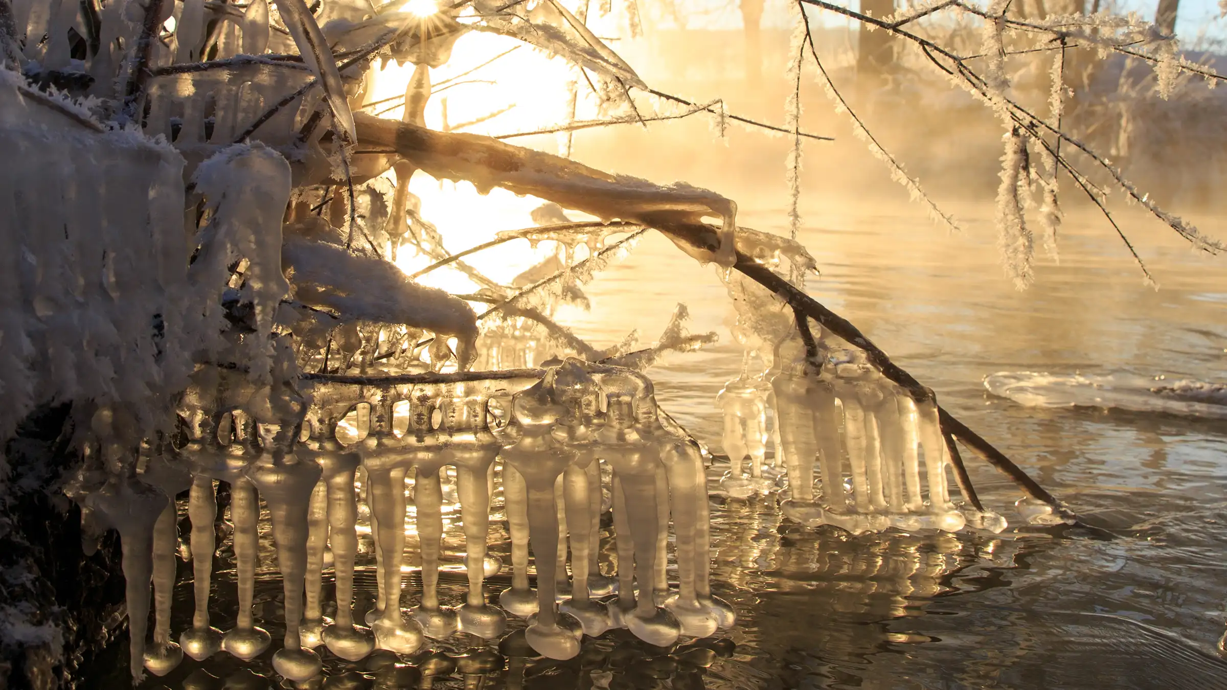 Zapfig kalt an der Fränkischen Saale - Foto: Jan Gensler