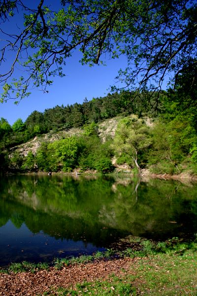 Frickenhäuser See