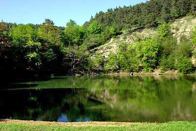 Frickenhäuser See