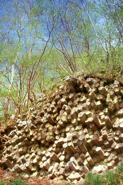 Gangolfsberg - Basaltsäulen