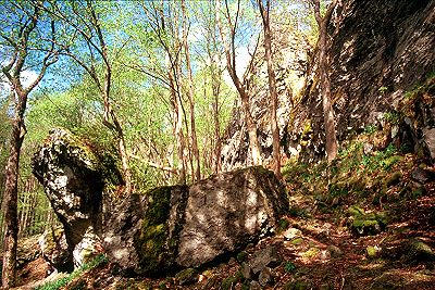 Naturkundelehrpfad Gangolfsberg bei Oberelsbach