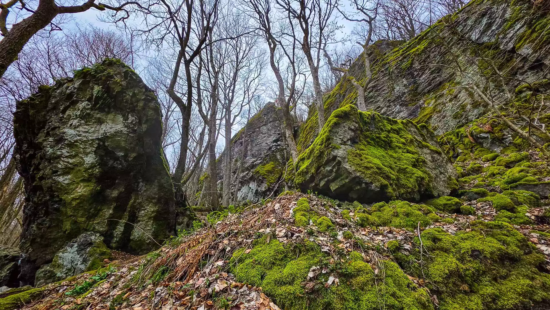 Teufelskeller und Basaltwand dahinter