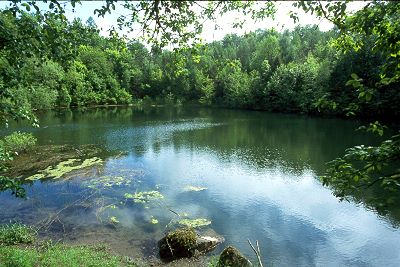 Hegkopfsee bei Schönderling