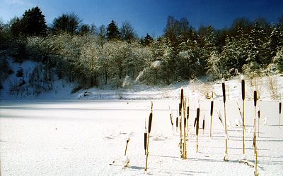 Der Hegkopfsee