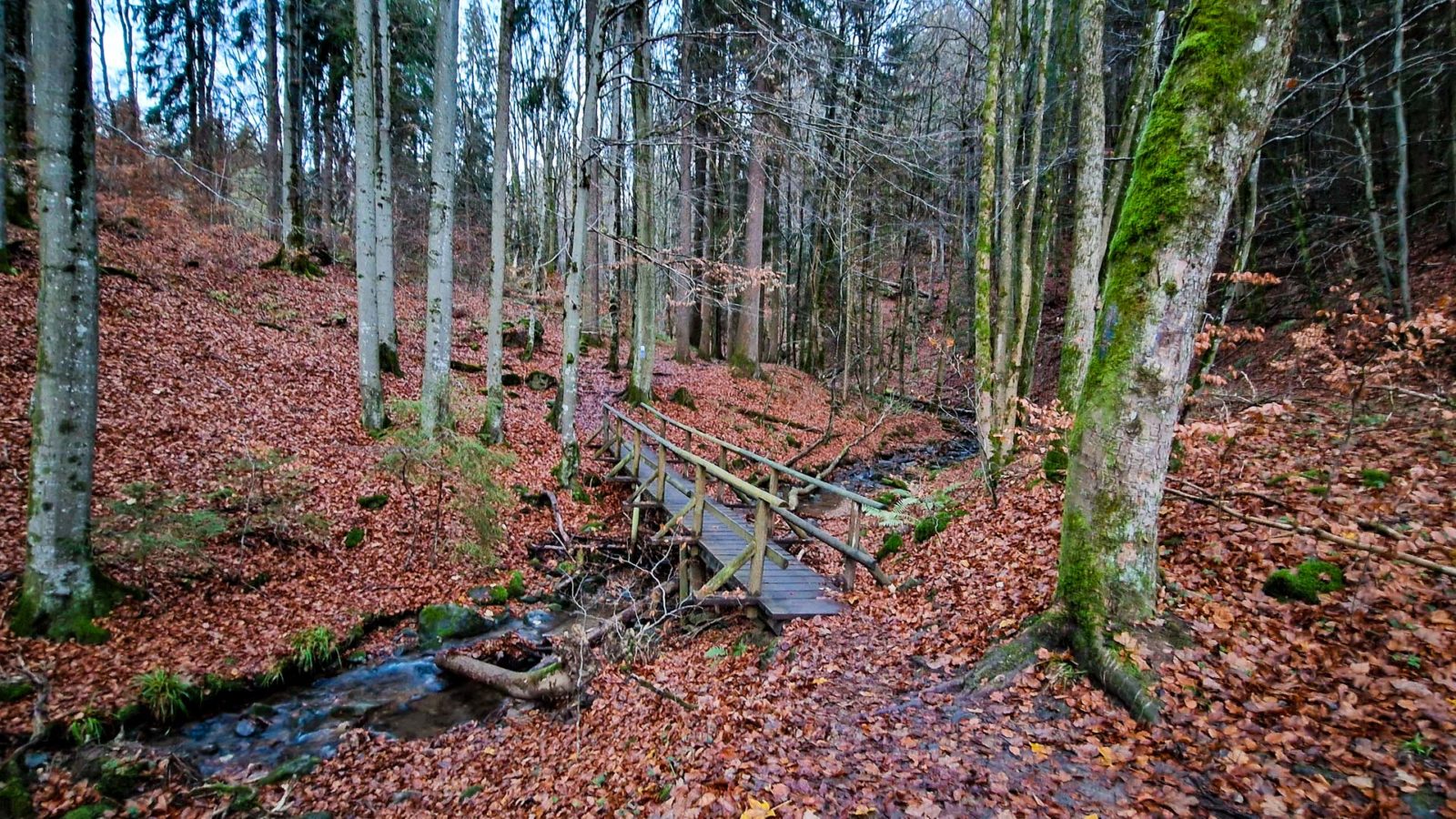 Bridge over troubled water