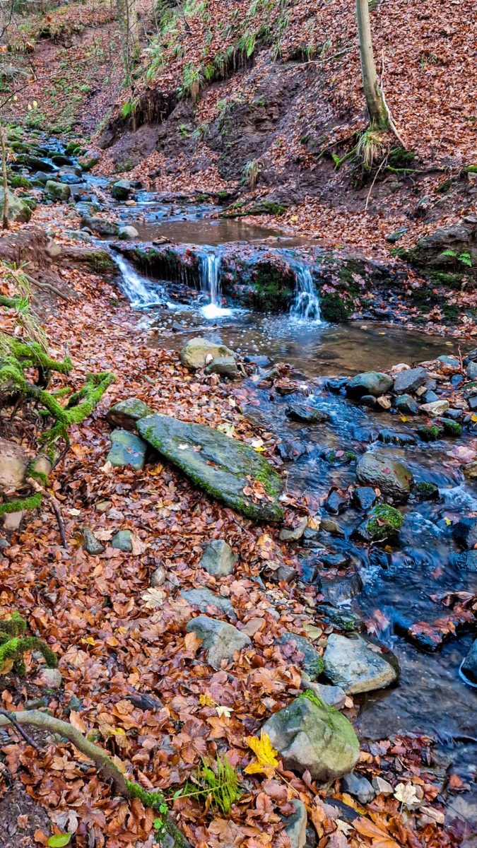 Kaskadenschlucht Gersfeld