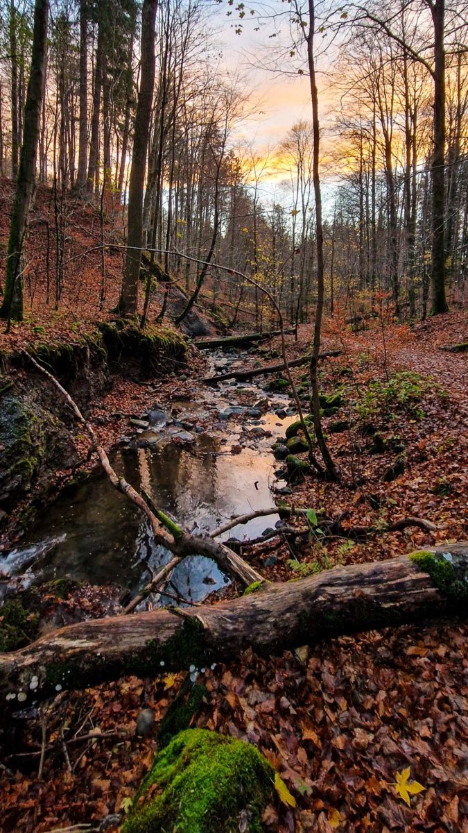 Links Wasser, rechts Wanderweg