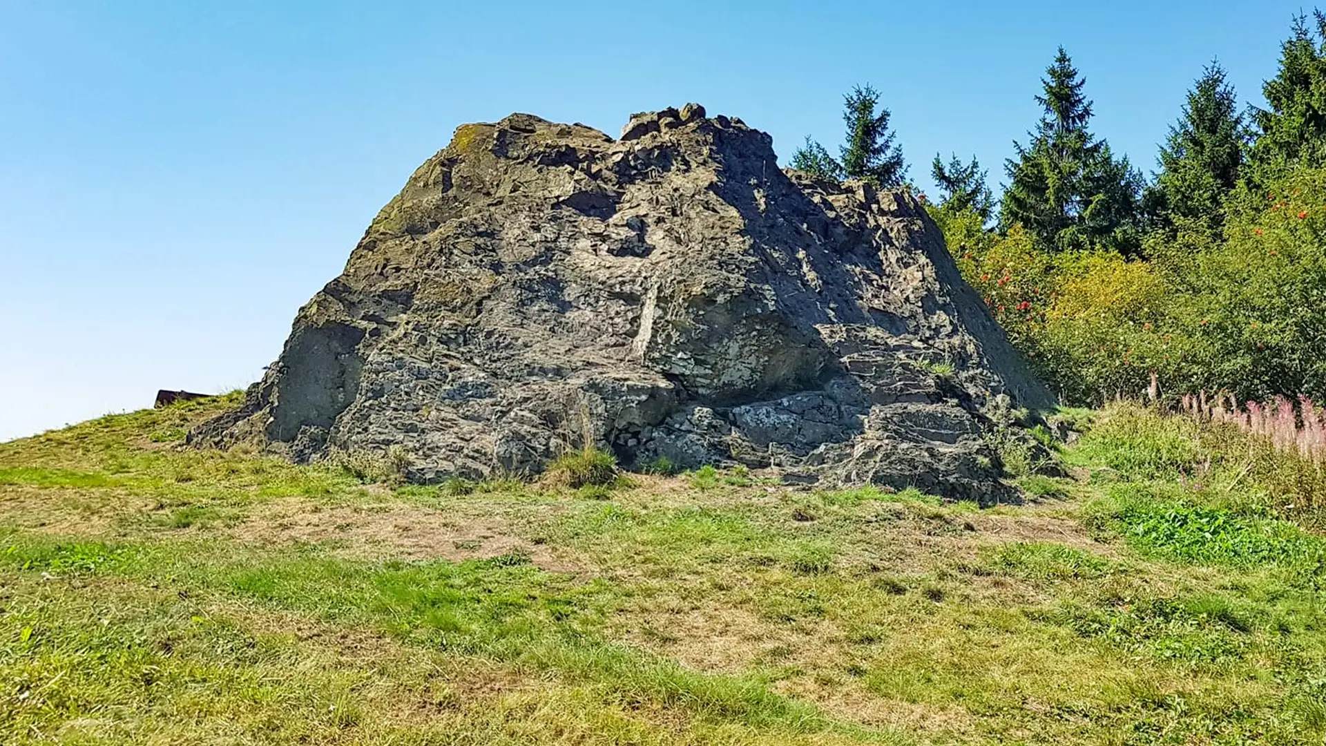 Lerchenkueppel im Sommer