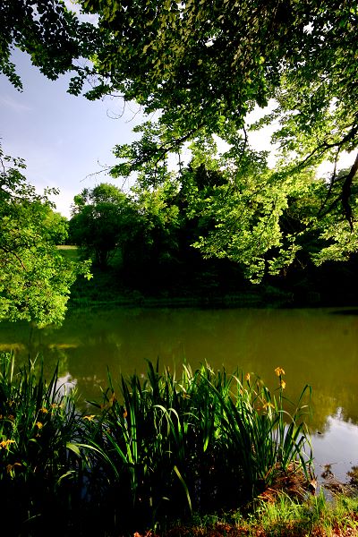 Der Leubacher See