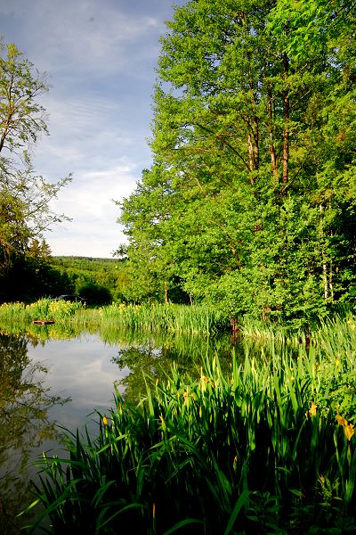 Der Leubacher See