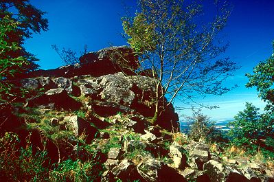 Die Milseburg (835m)