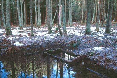 Wüstung Moordorf