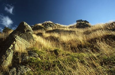 Der Pferdskopf (825m)