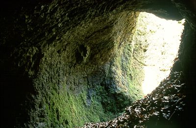 Die Ruine Rabenstein