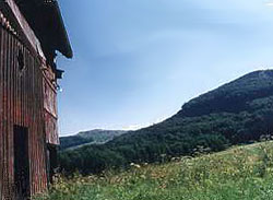 Kippelbachs letztes Haus und der Reesberg