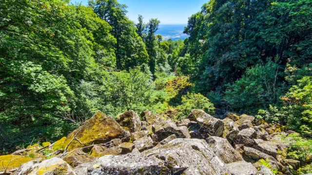 Kreuzberg Rhön