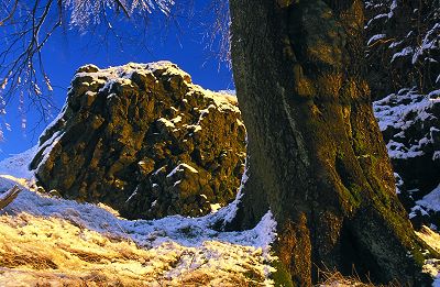 Rockenstein