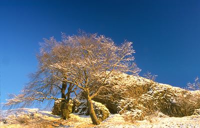 Der Rockenstein (776m)