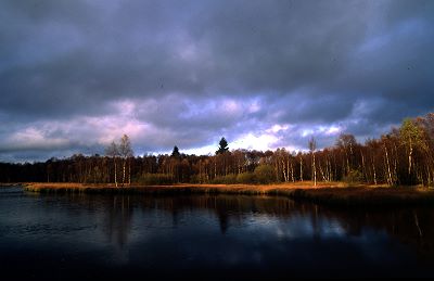 Das Rote Moor