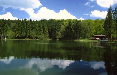 Blick über den Rothsee bei Bischofsheim