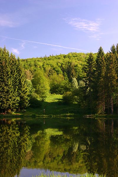 Rothsee am Bauersberg bei Bischofsheim