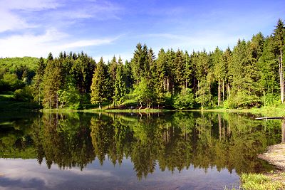 Rothsee am Bauersberg bei Bischofsheim