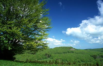 Der Schafstein (832m)