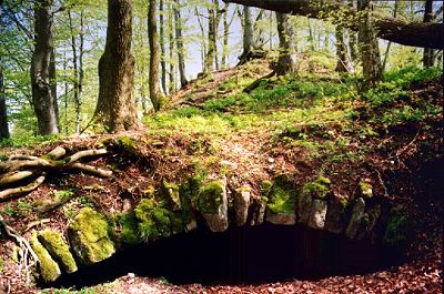 Ruine Schildeck