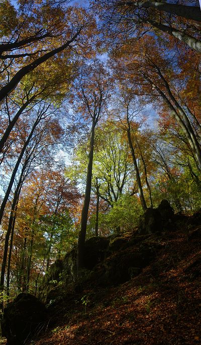 Ruine Schildeck