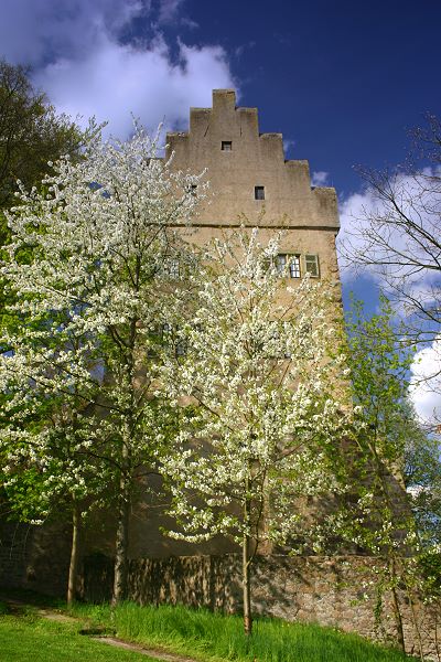 Schloss Aschach - Außenansicht