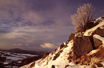 Der Simmelsberg (843m) im Winter