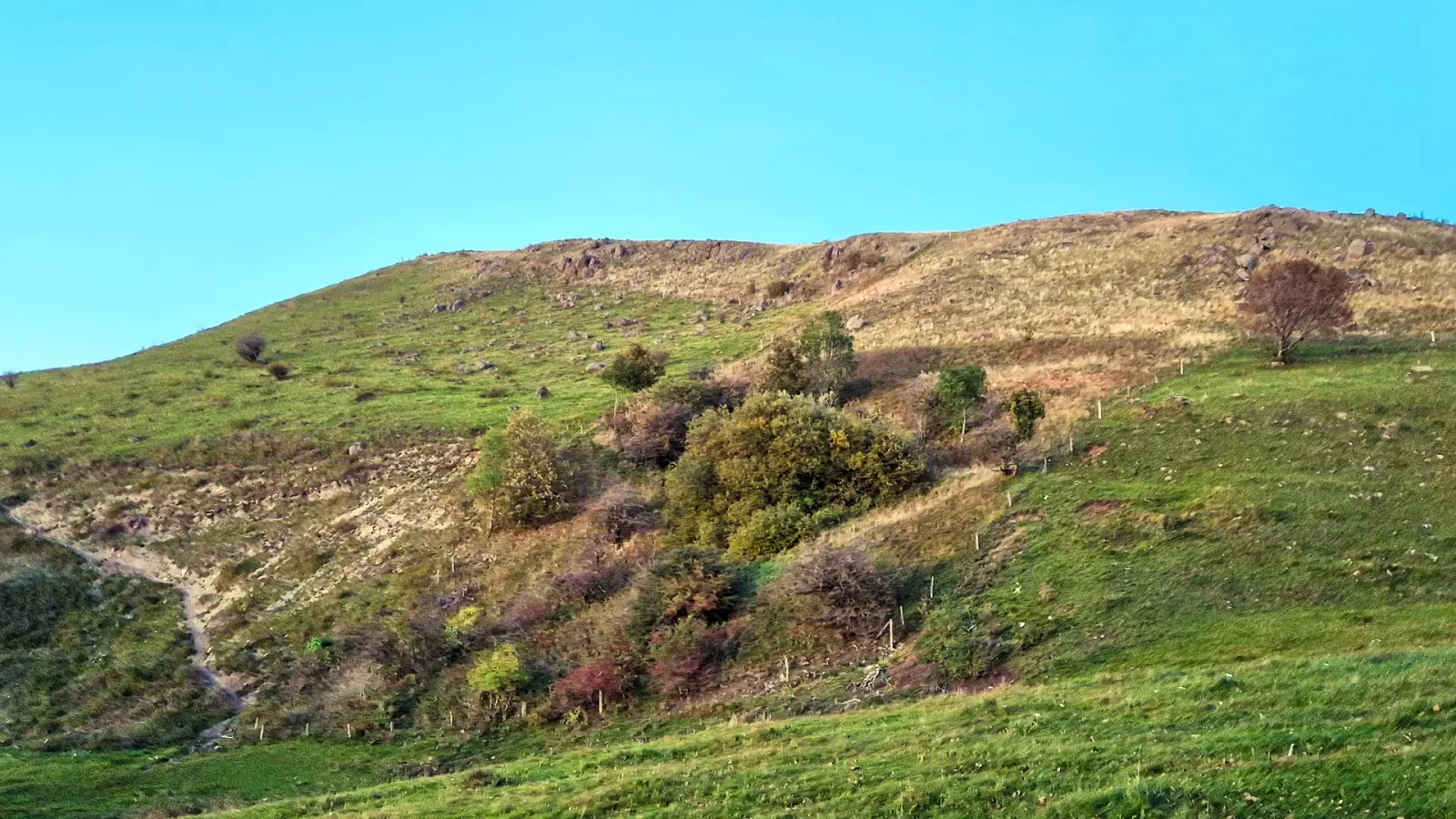 Der Simmelsberg von unten gesehen