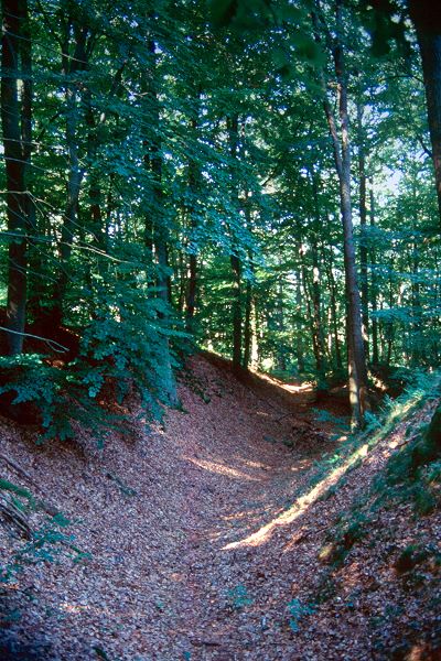 Die Burg Steineck auf dem Quästenberg