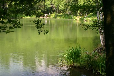 Der Basaltsee am Steinernen Haus