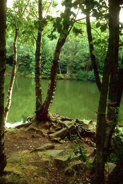 Basaltsee am Steinernen Haus