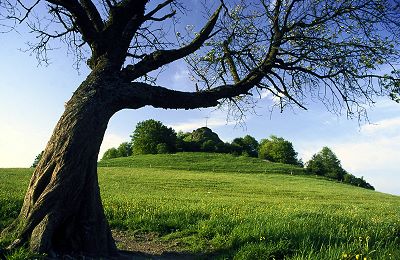 Der Wachtküppel (705m)