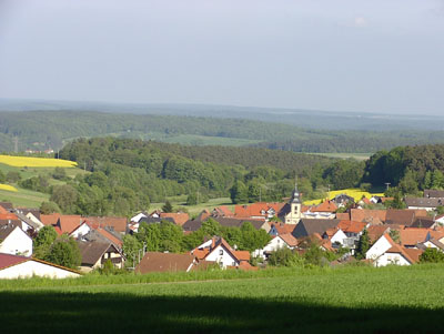 Waldfenster