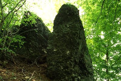 Ruine Werberg