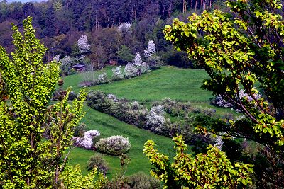 Naturlehrpfad Weyhershauk bei Ostheim